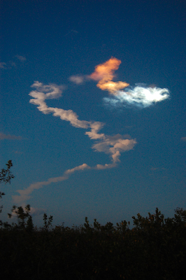 Space Shuttle STS-119 launch.