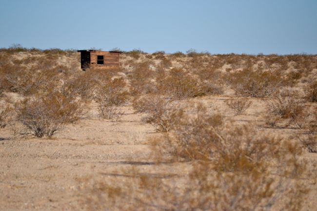 Settler shack, Wonder Valley, California.