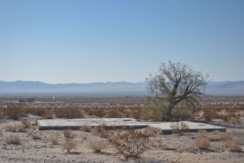 Concrete slab and a once-tended tamarisk tree are all that remains in Wonder Valley, California.