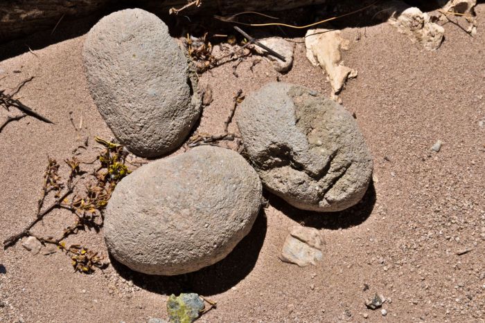 Stone eggs, Wonder Valley, California.
