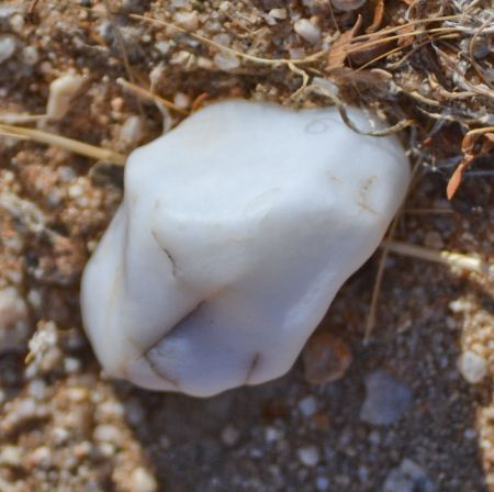 Milky quartz, Wonder Valley, California.