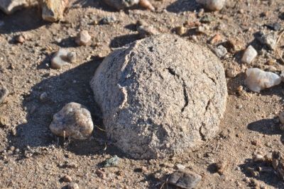 Spheroidal weathering of monzonite granite, Wonder Valley, California.