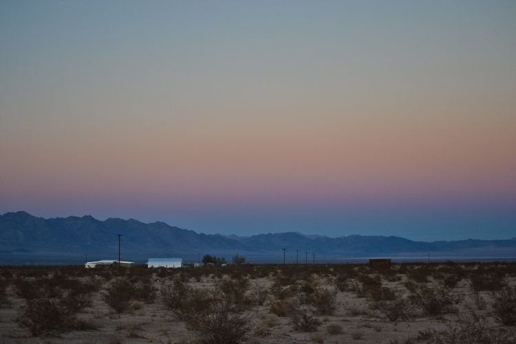 Girdle of Venus, eveningtime, Wonder Valley, California.