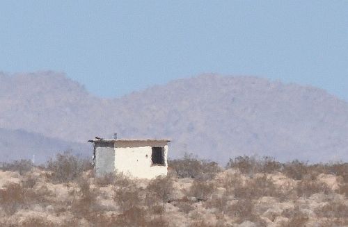 Brutal heat raining down upon an abandoned settler shack in Wonder Valley, California.