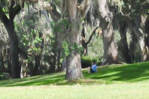Lisa, following a roll of somersaults down the hill at Bok Tower, Florida.