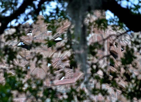 The uppermost Art Deco stonework on Bok Tower, see through the canopy of oak leaves above your head as you rest in the shade beneath.