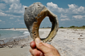 Launch Complex 17, through the eye of a seashell.