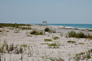 Pristine beach on Cape Canaveral Air Force Station.