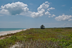 Pristine Florida beach, just south of Launch Complex 34, Cape Canaveral Air Force Station.