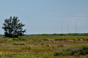 Empty Florida beachside wilderness, Complex 34, Cape Canaveral Air Force Station.