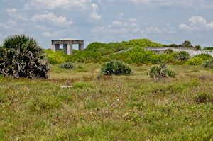 Mysterious shapes looming beyond the vegetation at Complex 34, Cape Canaveral Air Force Station.