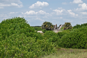 Mysterious shapes looming beyond the vegetation at Complex 34, Cape Canaveral Air Force Station.