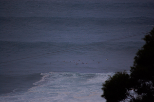 Waimea lineup from the heiau